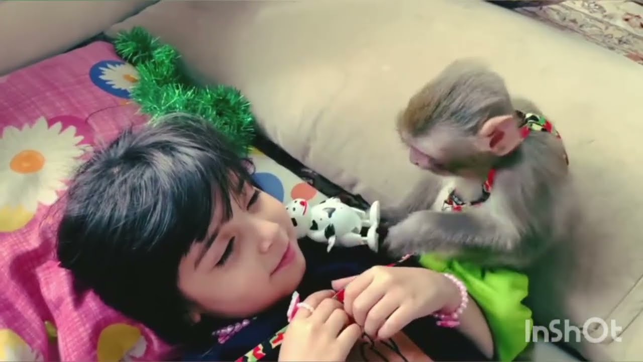 Rasta Khanum's motherly feeling towards the monkey baby and the intense love between them 