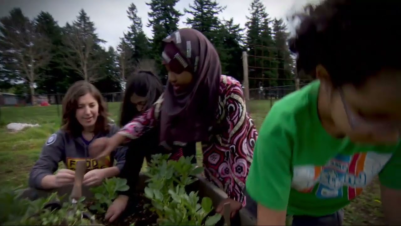 Oregon Harvest for Schools