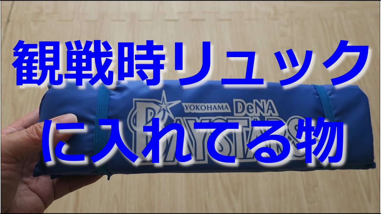 【紹介動画】野球観戦時の持ち物(横浜DeNAベイスターズ)