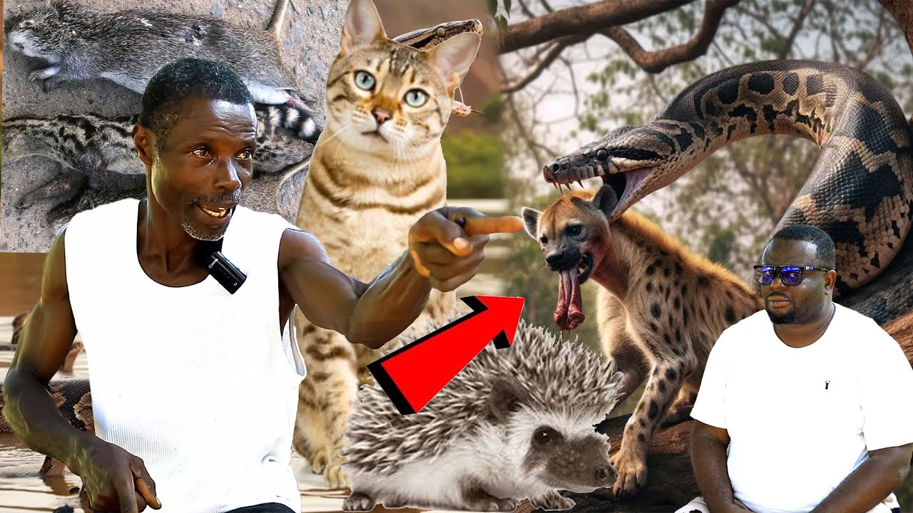 wooooow... Another wonderful story of a great Hunter  watch this and thank me later