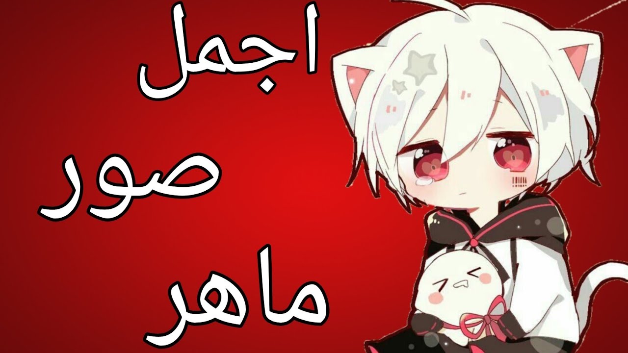 أجمل صور ماهر❤️من انمي بي باتل بيرست💖على اغنية رائعة🎶