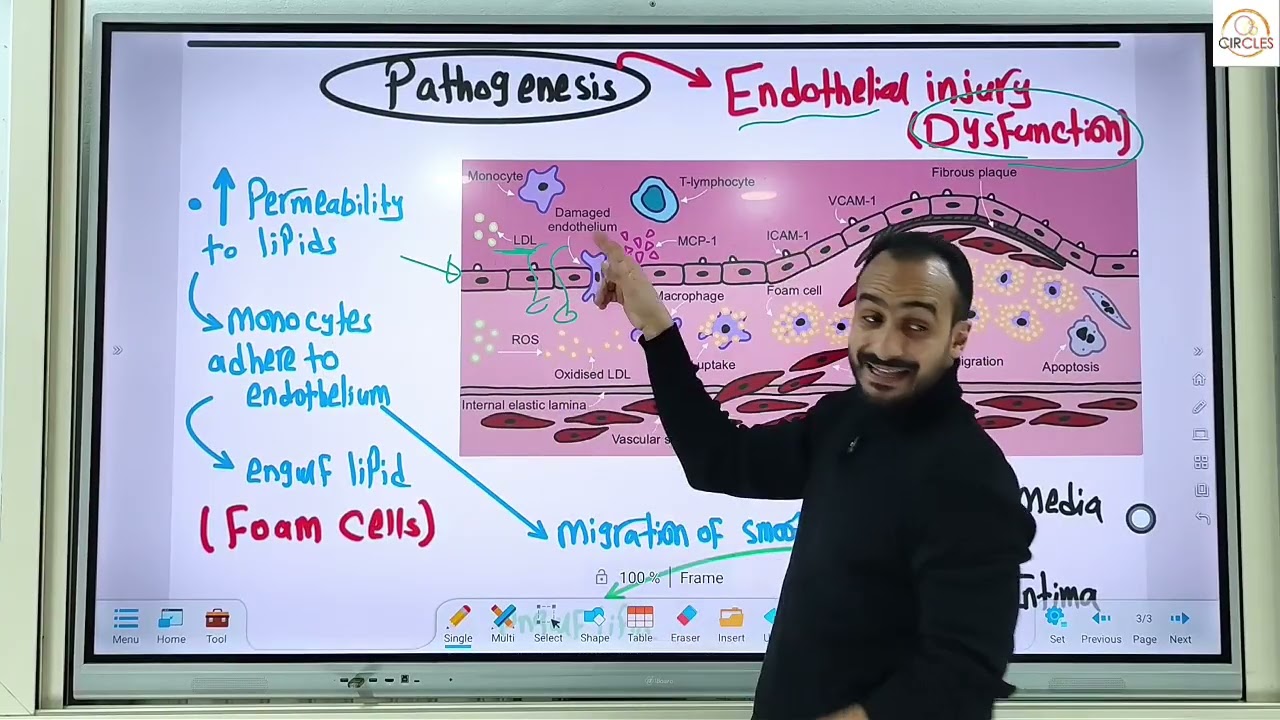 محاضره الأولي  cardiovascular system part 1  مع دكتور عفيفي طب أسنان