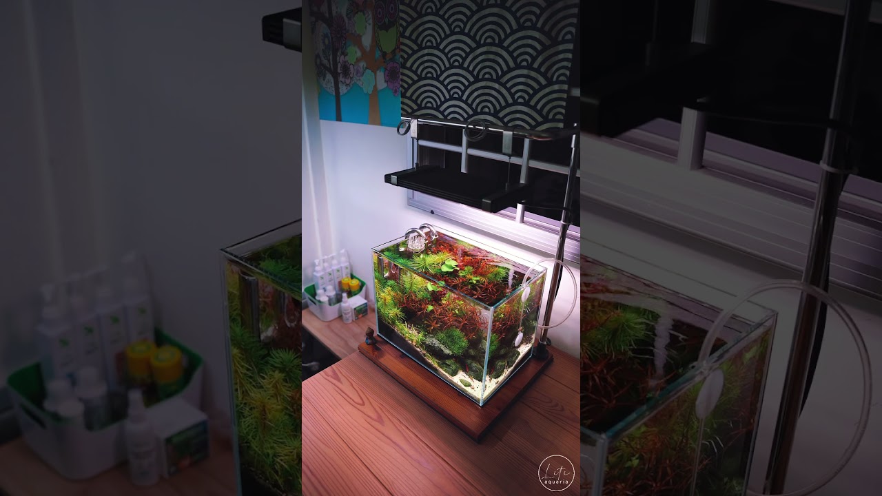 ADA Mini-M 