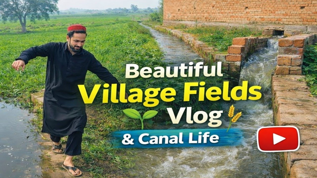  Beautiful Village Fields Vlog 🌾 | Walking Through Green Farms & Canal Life