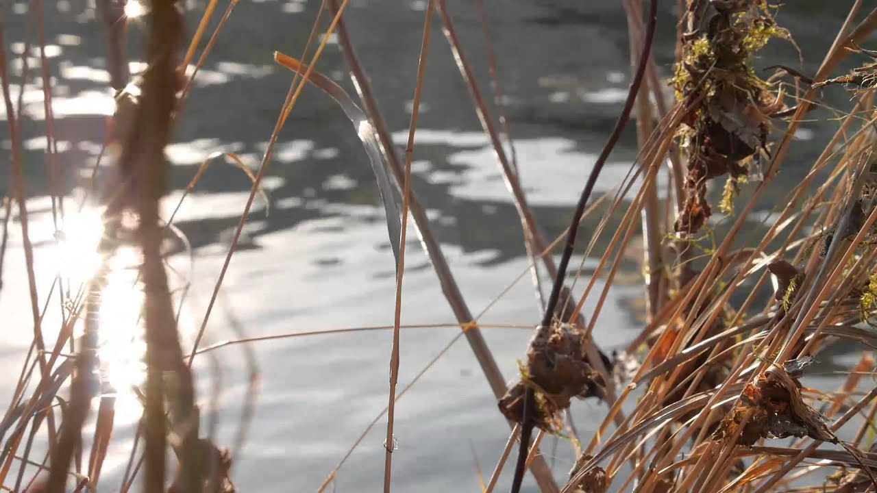 Happy 2013 Video