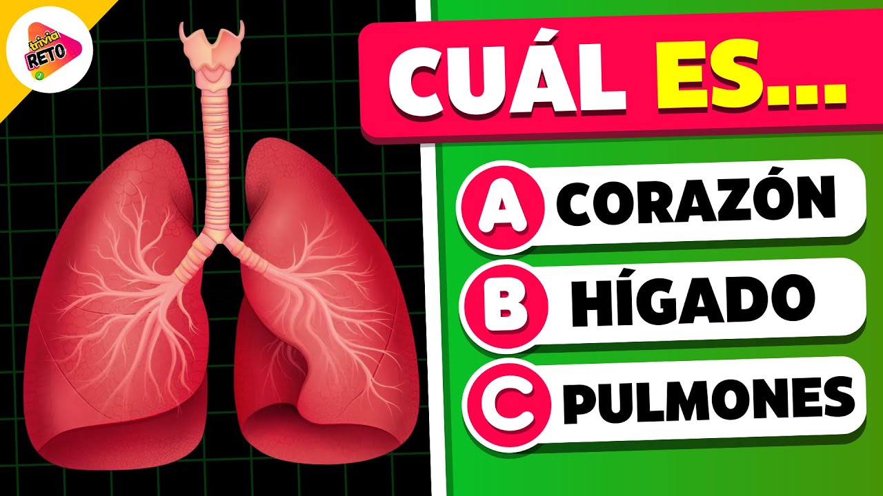 ¿Cuánto Sabes del CUERPO HUMANO? 🧠🫁👁️ | 33 Preguntas | Trivia-Reto✅