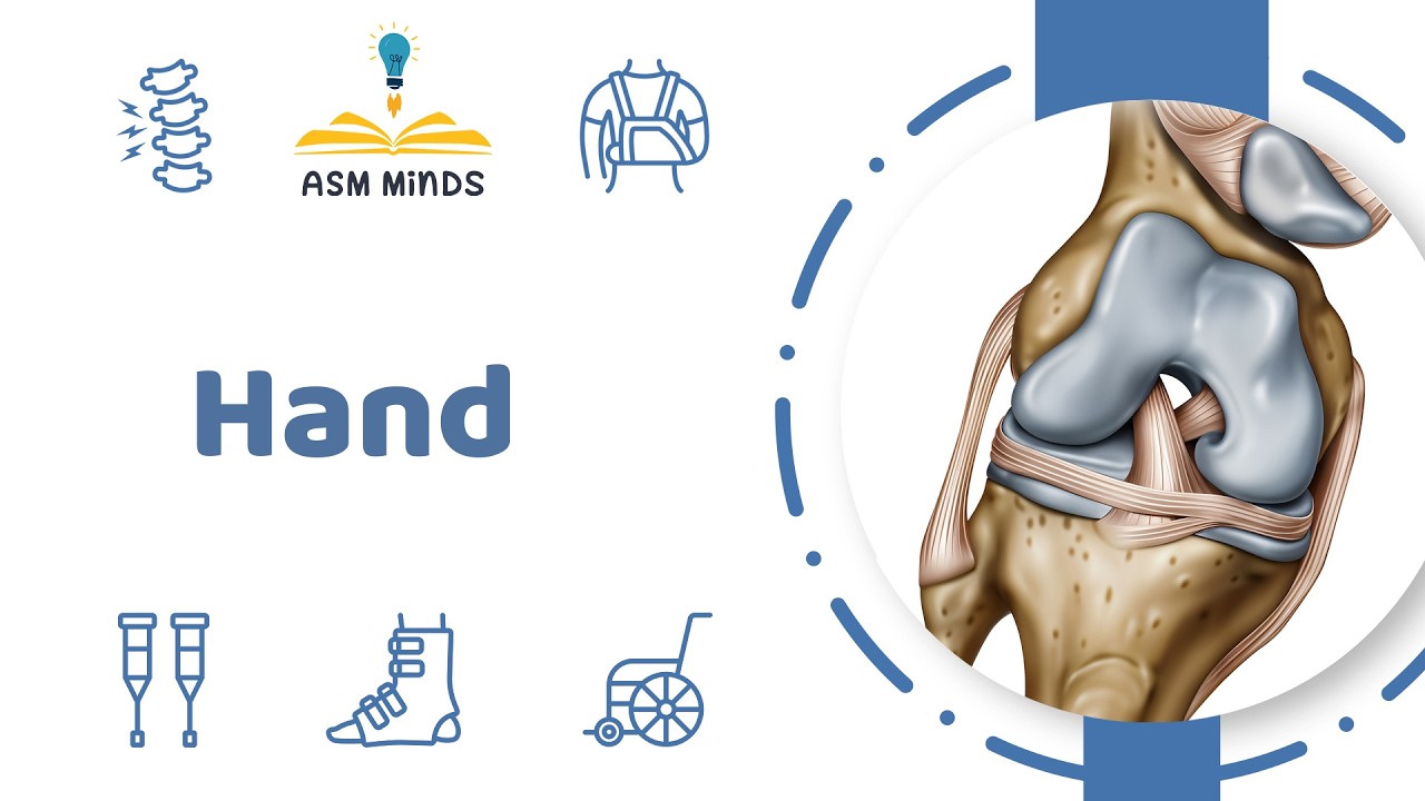 7- Hand - Orthopedics Course - By Dr.Sofy Said