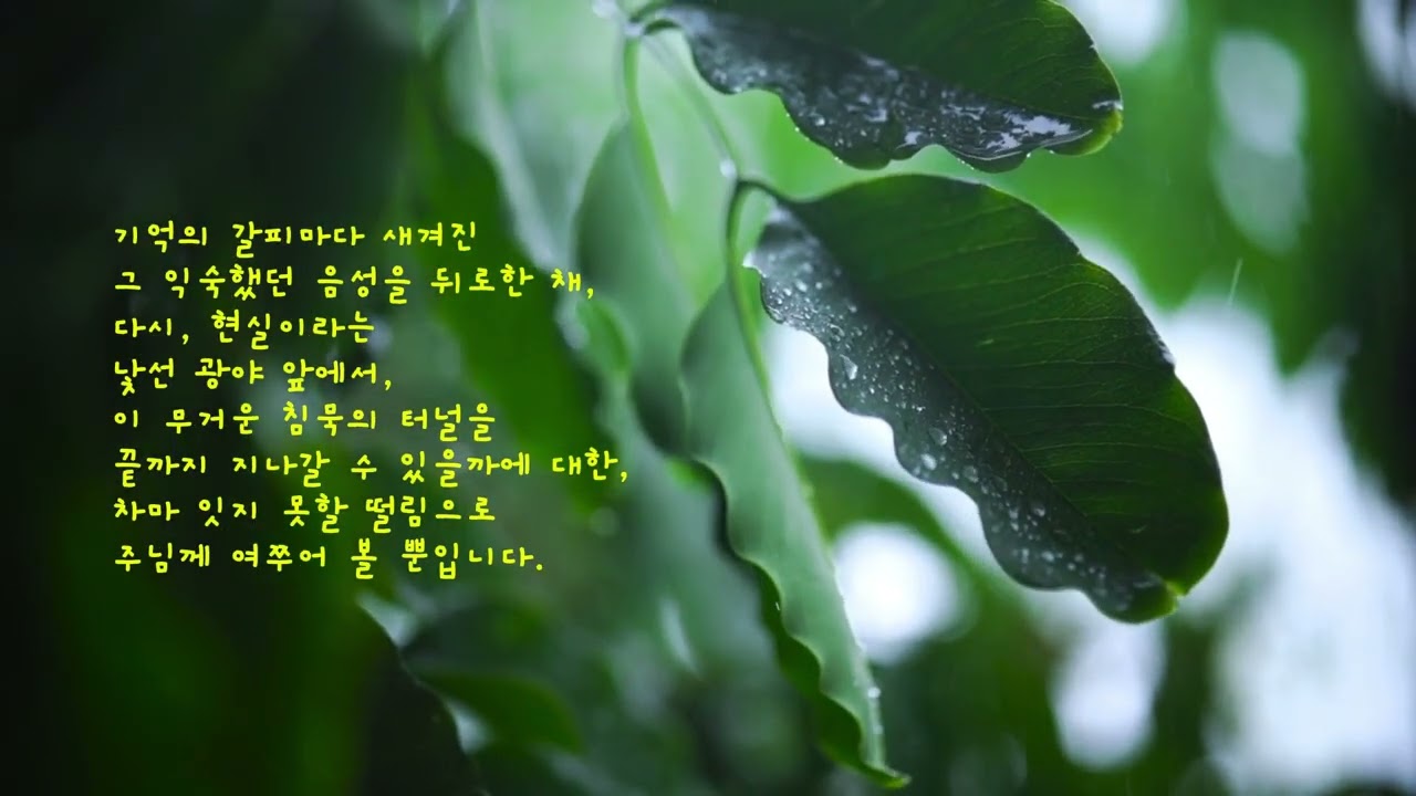 [빈 자리에 서서] 무너진 일상 속에 고인 하나님을 향한 눈물
