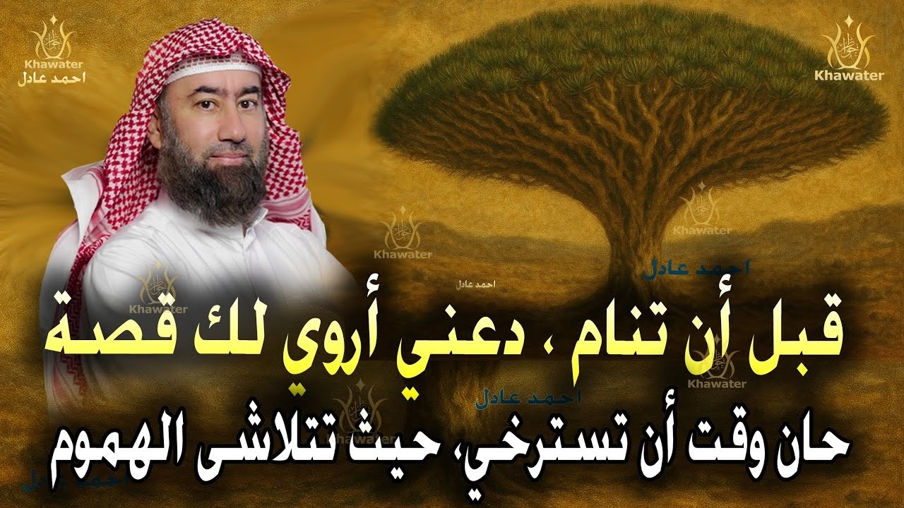 قبل أن تغفو دع عالم القصص يأخذك في رحلة هادئة إلى أحلام سعيدة 🎧 قصص نزول الآيات 🎧 نبيل العوضي