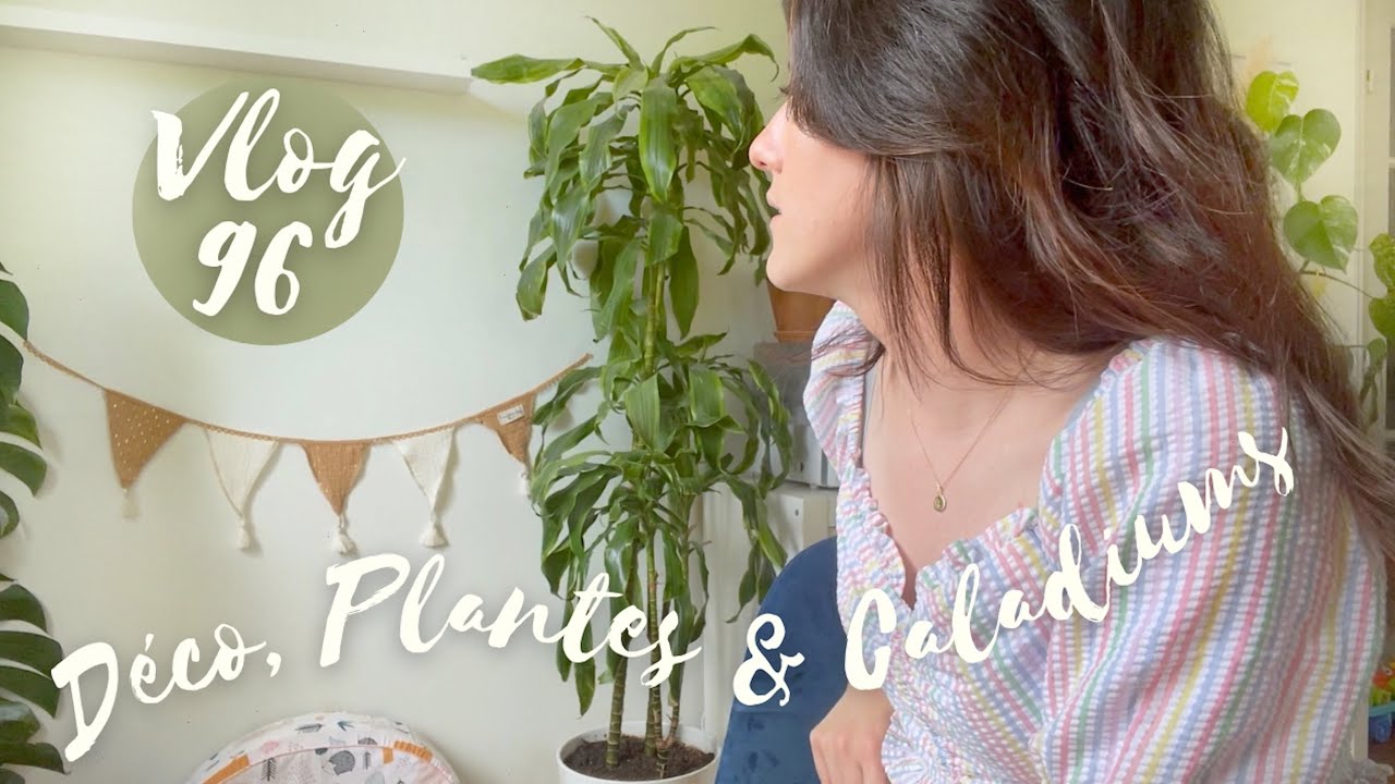 Sauvetage Caladiums, Réaménagement Salon & Entretien Nuisibles VLOG 96