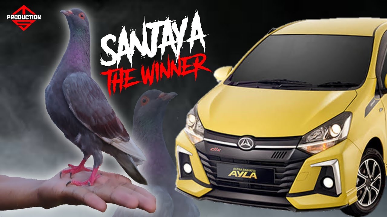 SANJAYA HARGA MURAH TAMPIL MEWAH || EVENT NEW AYLA LAPAK JKP PODOSOKO SAWANGAN