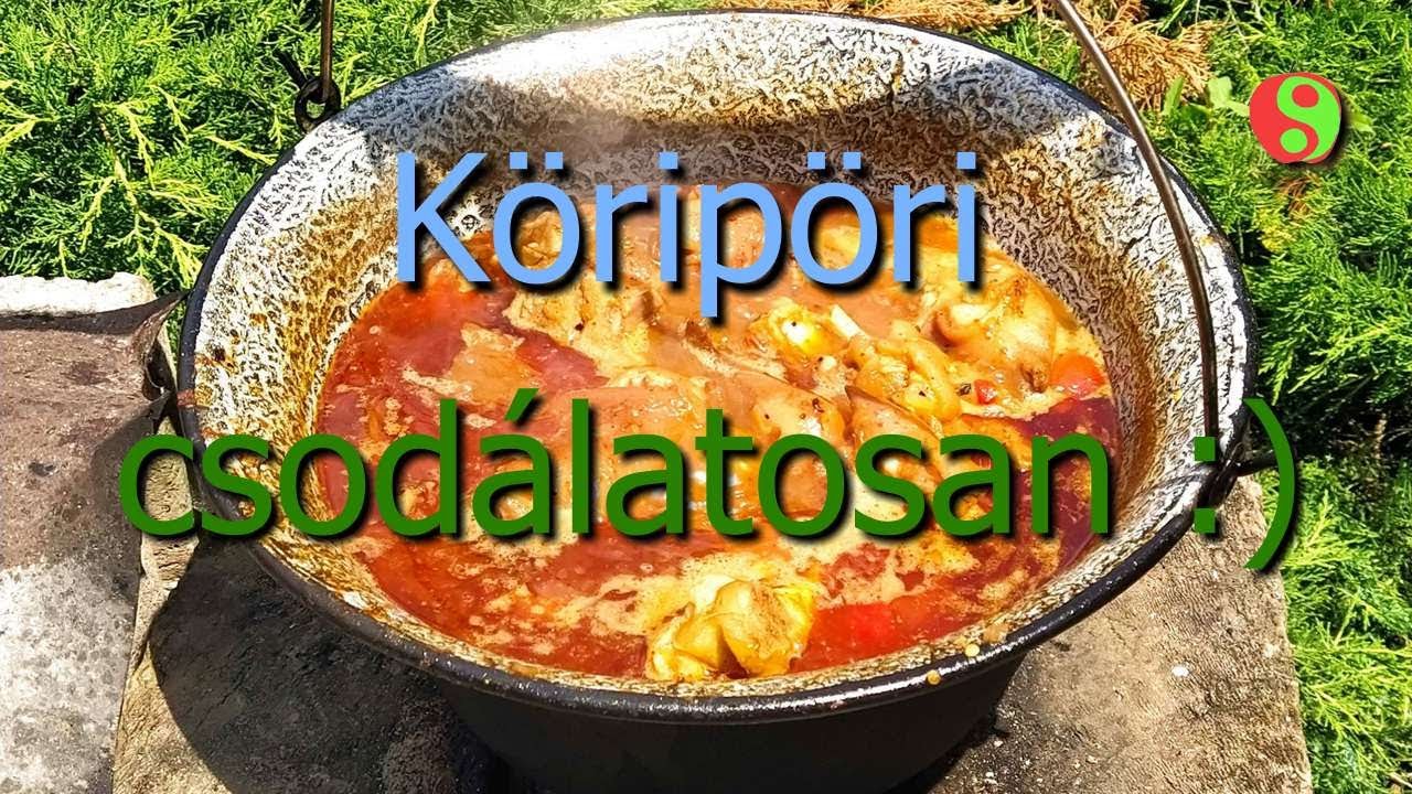 Cs&uuml;lk&ouml;s k&ouml;r&ouml;mp&ouml;rk&ouml;lt bogr&aacute;csban
