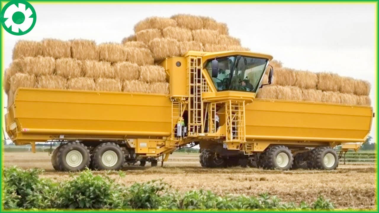 Transporting Tons of Straw This Way - Grows and Harvest Agricultural | Agriculture Technology