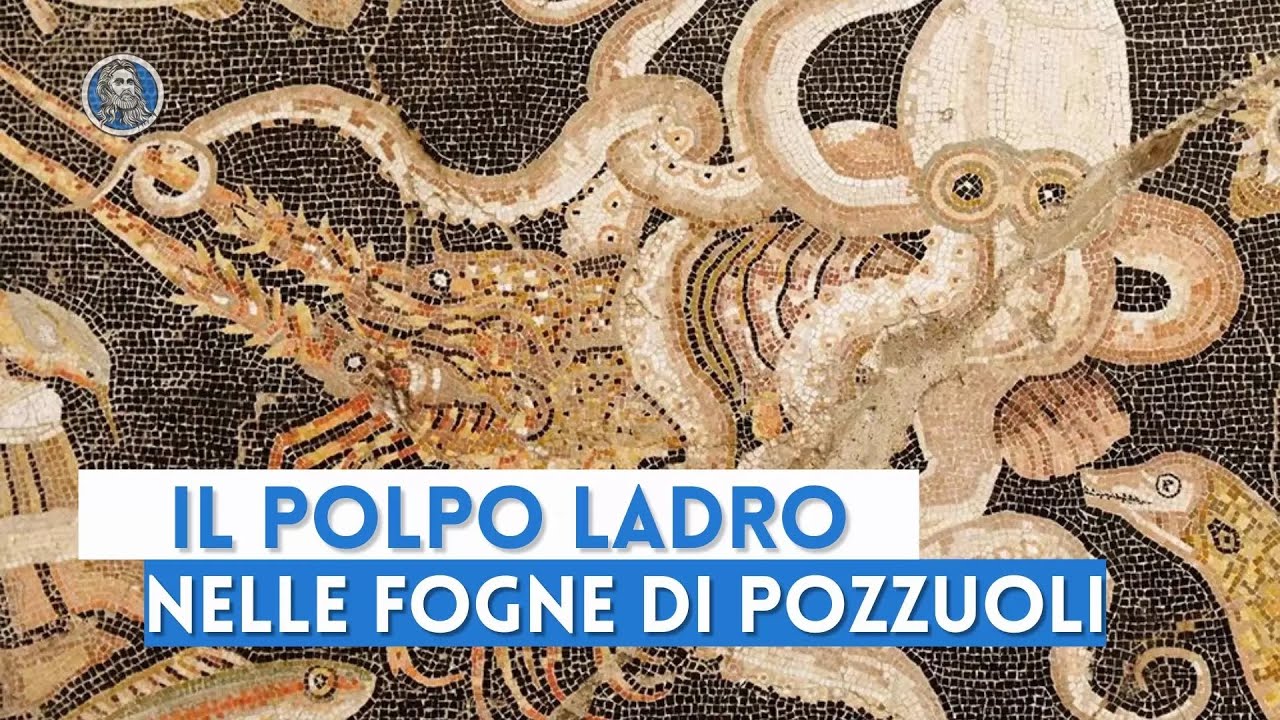 Il Polpo ladro nelle fogne di Pozzuoli