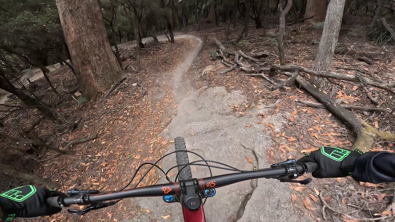 Berms, ferns and some slabs. 👌