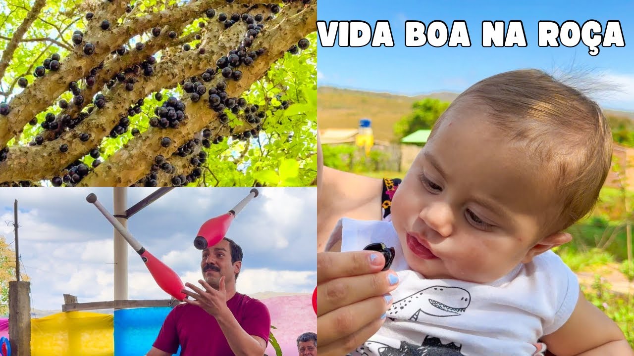 VIDA NA ROÇA: PERNILONGOS, MALABARES e JABUTICABAS