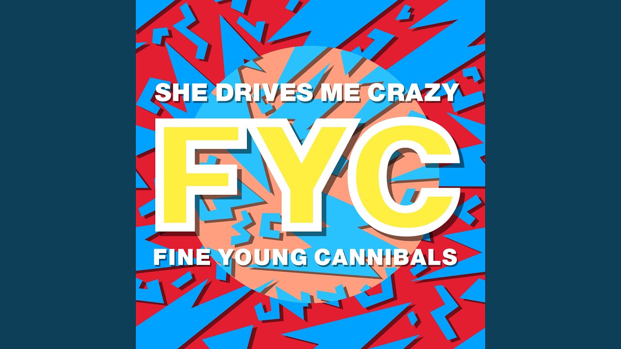 She Drives Me Crazy (David Z 12