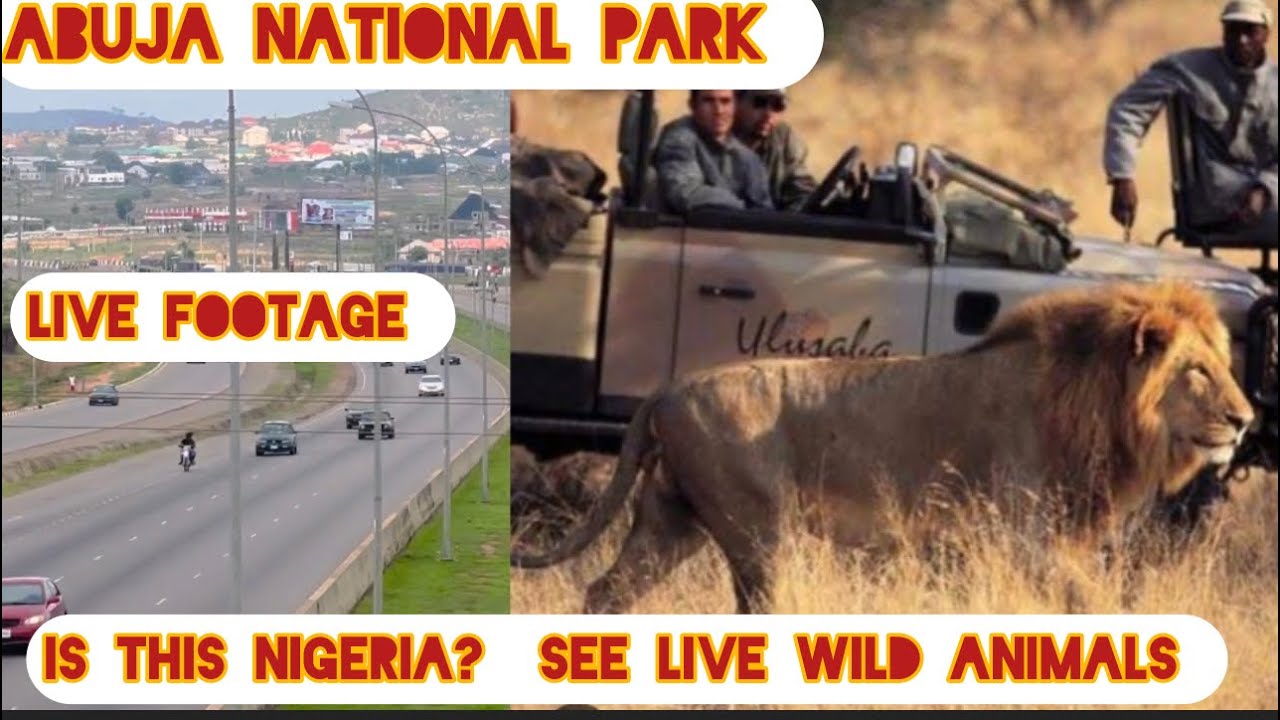 ABUJA NIGERIA TOP CITY TOUR: SAFARI EXPO/ ABUJA NATIONAL PARK🏞️ YOU WON’T BELIEVE THIS IS NIGERIA🇳🇬