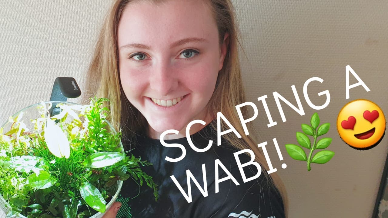 Opnieuw de Wabi van Beta inrichten + Aquaflora planten!