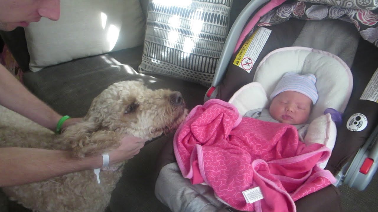 WE MADE IT HOME WITH BABY!│10•4•14 DAILY VLOG