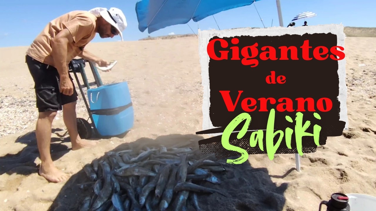 Matungos de verano.