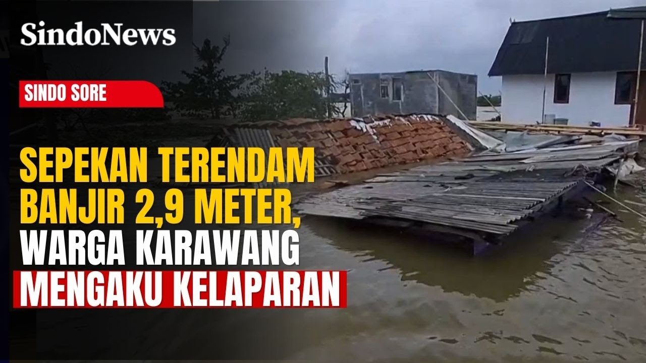 Sepekan Terendam Banjir 2,9 Meter, Warga Karawang Mengaku Kelaparan dan Butuh Bantuan | Sindo Sore |