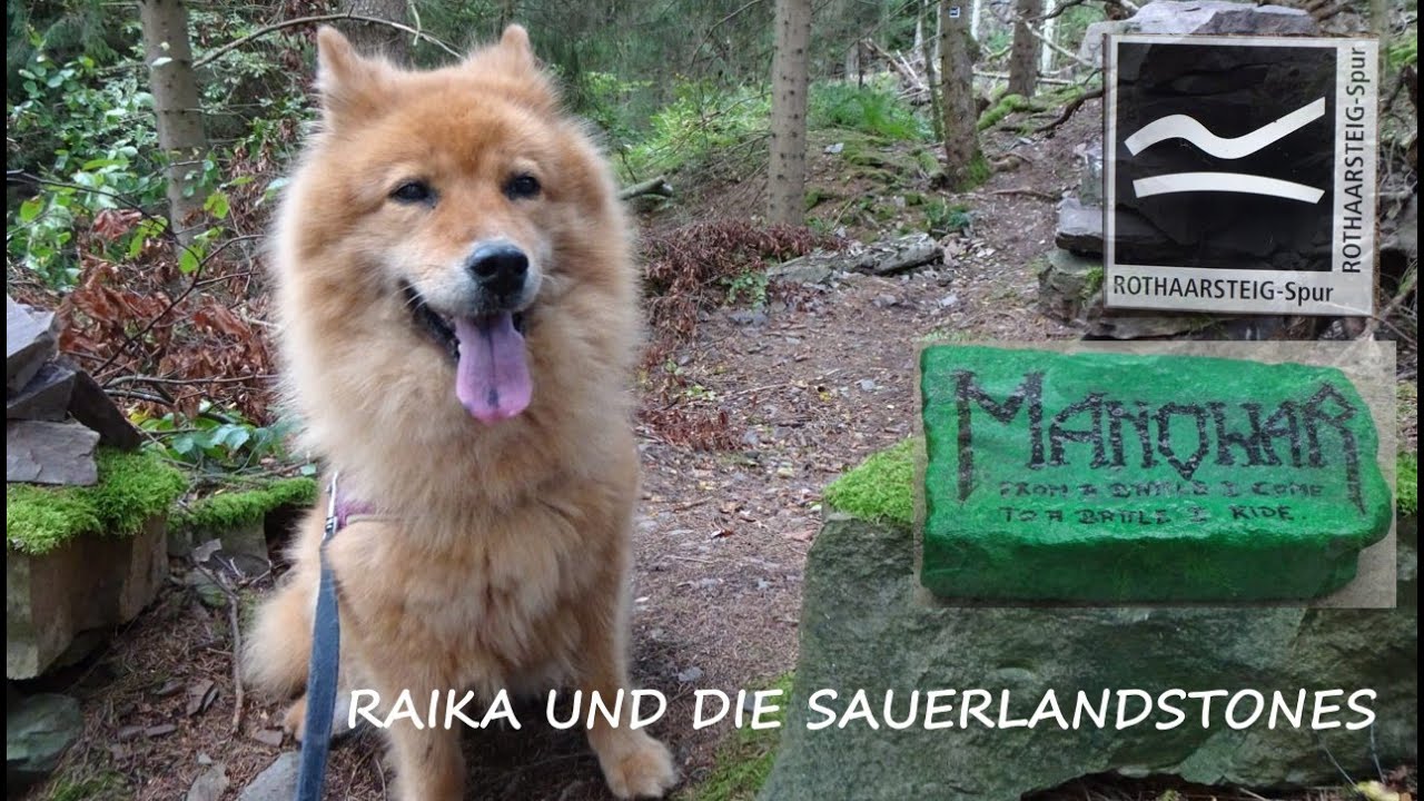 Raika und die Sauerlandstones🐕