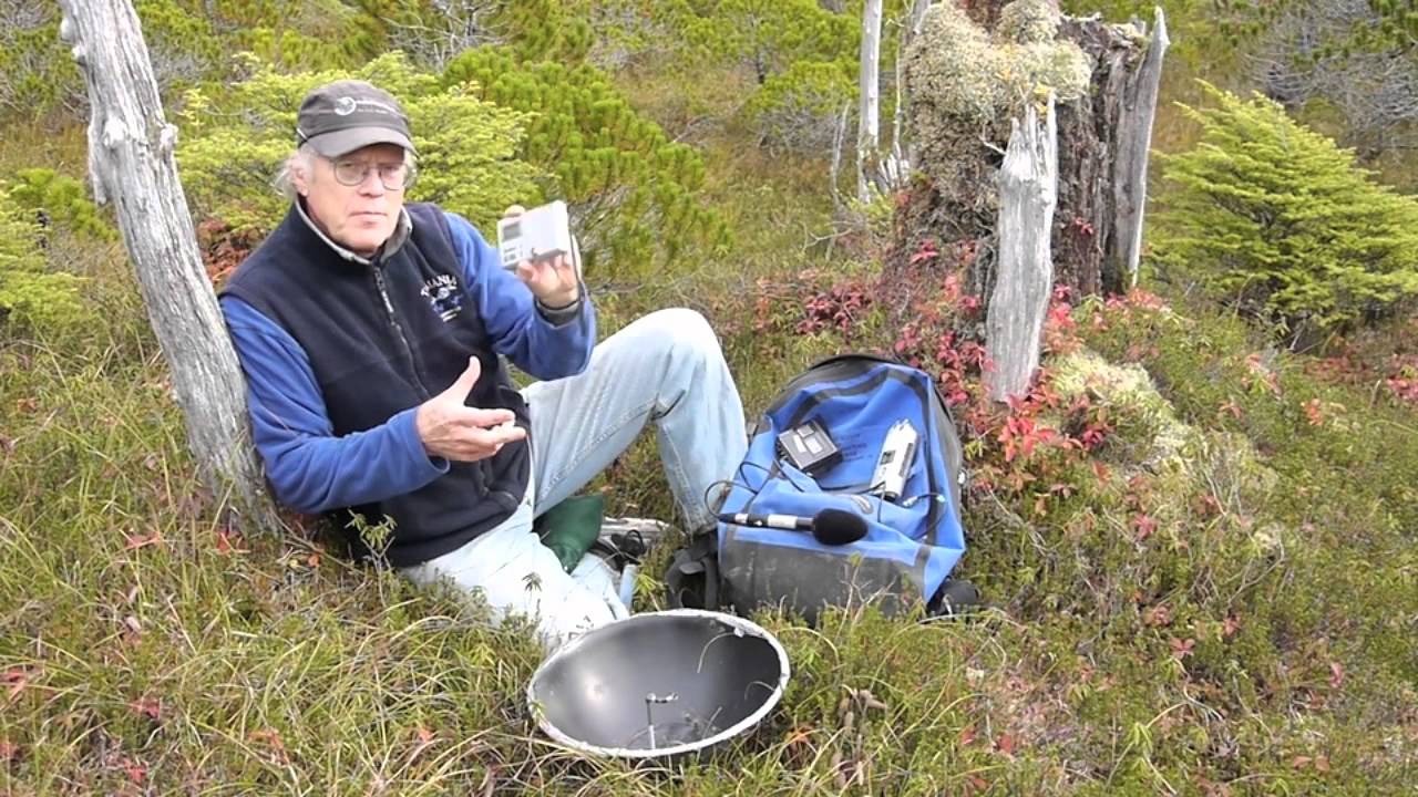 Getting Started with Recording Natural sounds
