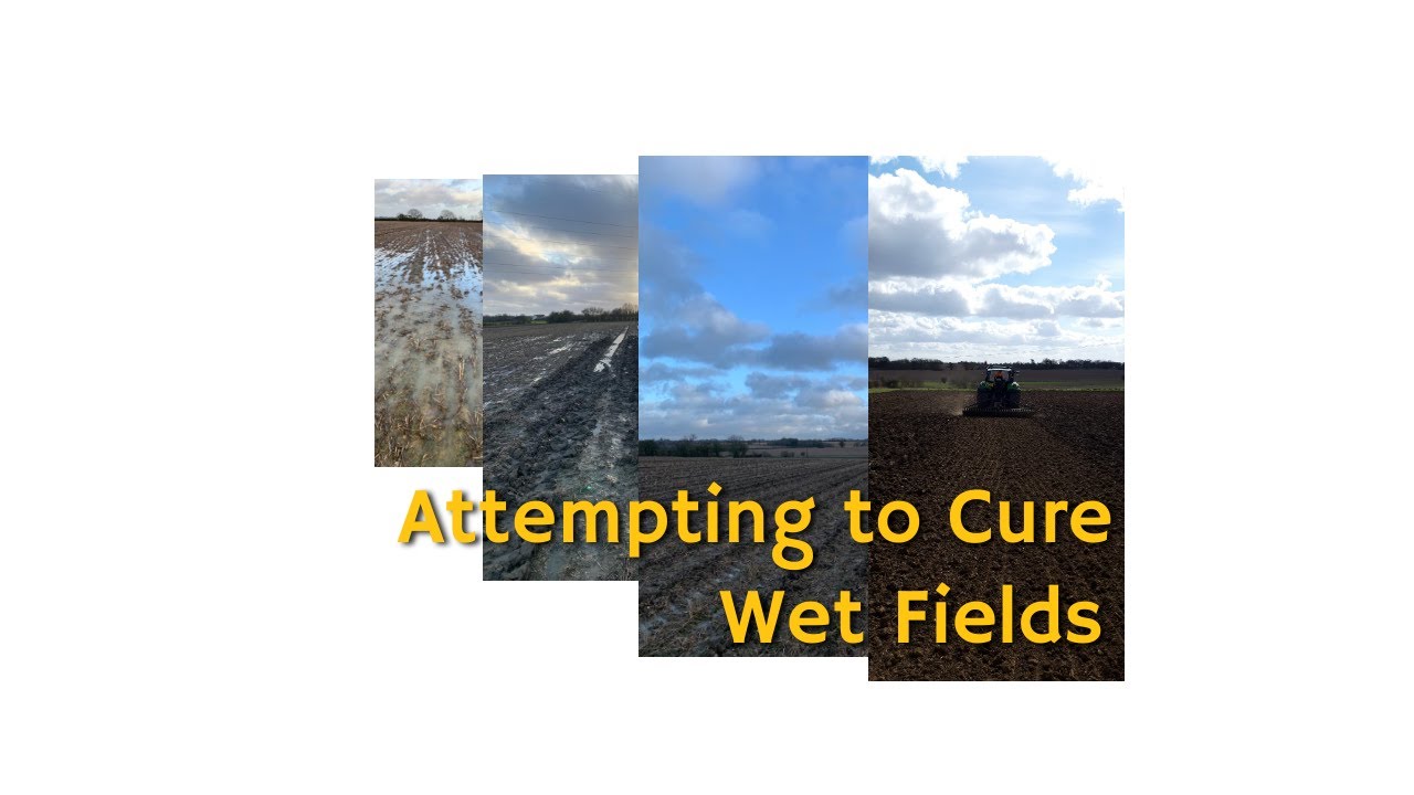 Attempting to Cure Wet Fields