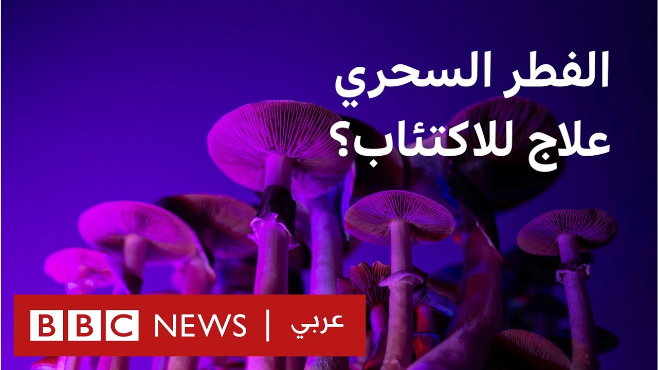 الفطر السحري 