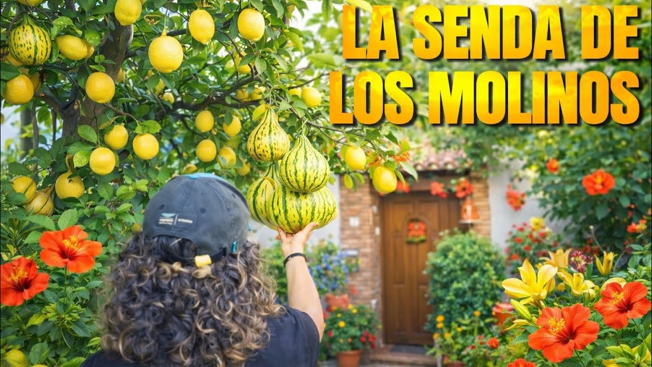 CANILLAS DE ALBAIDA 🌿 | La Perla Oculta de la Axarquía en Málaga
