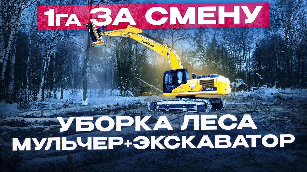 ЛЕСНОЙ МУЛЬЧЕР ДЛЯ БОЛЬШИХ ДЕРЕВЬЕВ // Лучшее решение для строителей