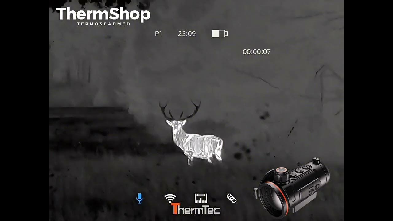 Hunt ja hirv