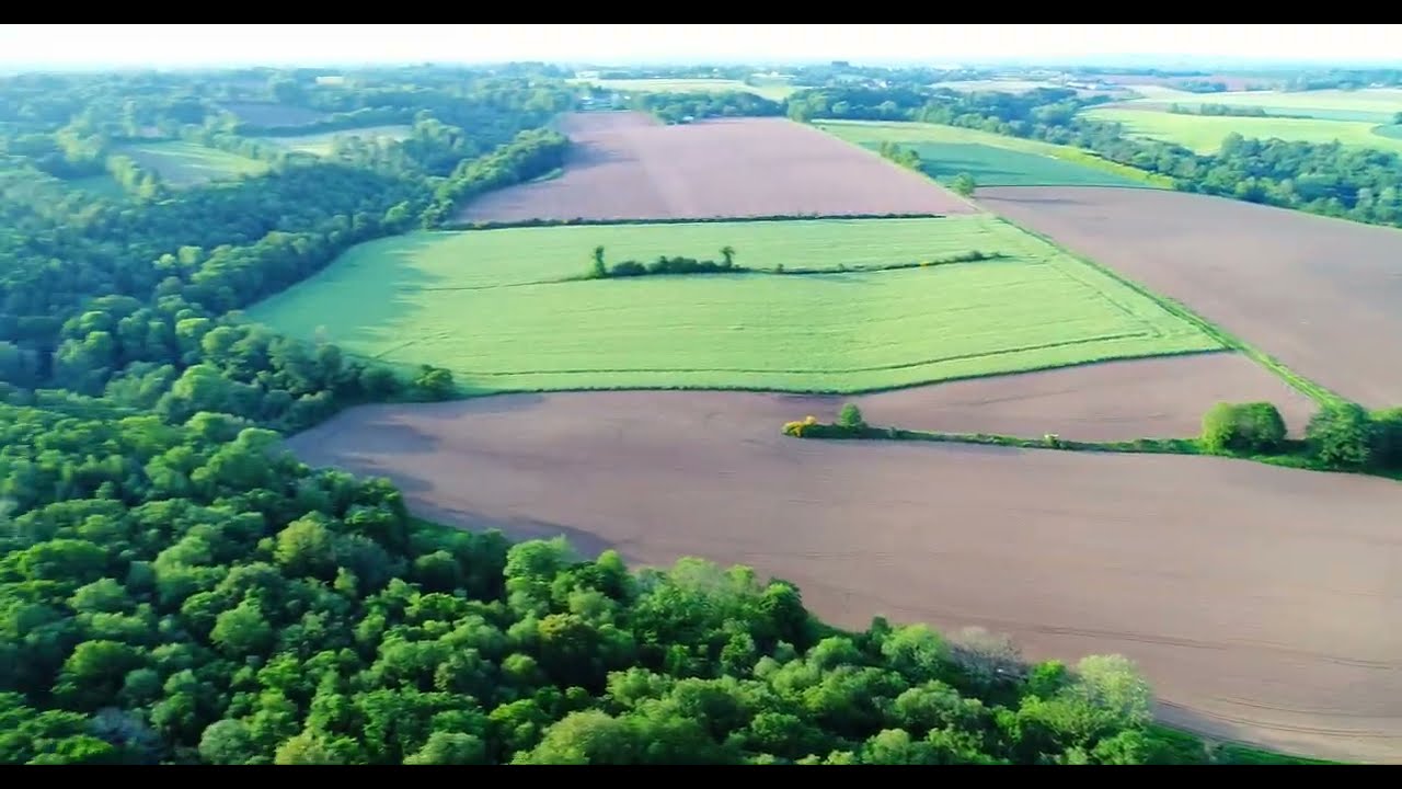 La Forêt du Stangala (4K)