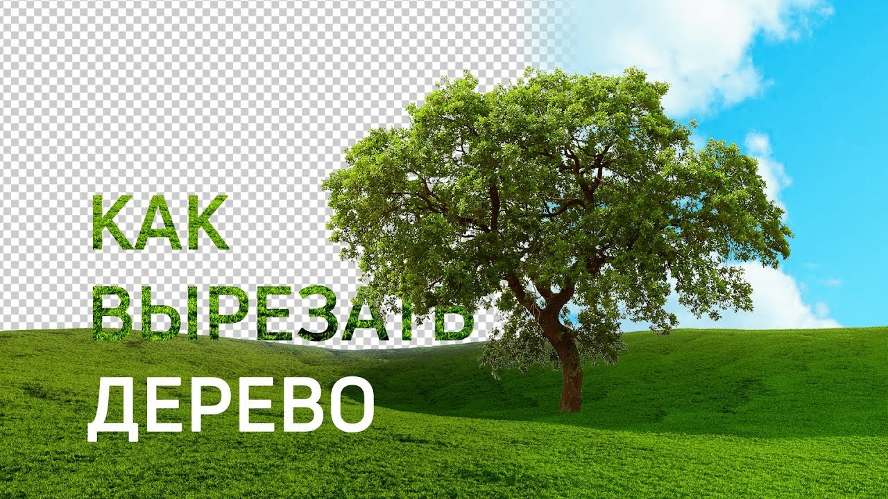 Фотошоп уроки | Как вырезать дерево в фотошопе (43 выпуск)