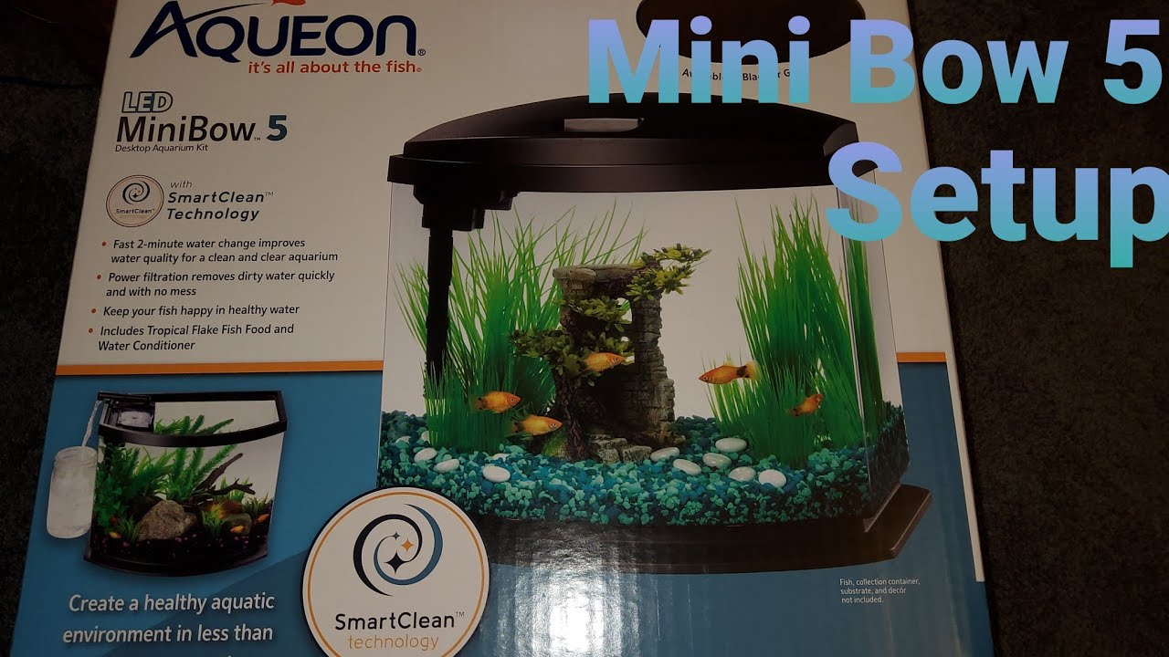 Aqueon led mini bow 5 smart clean technology setup