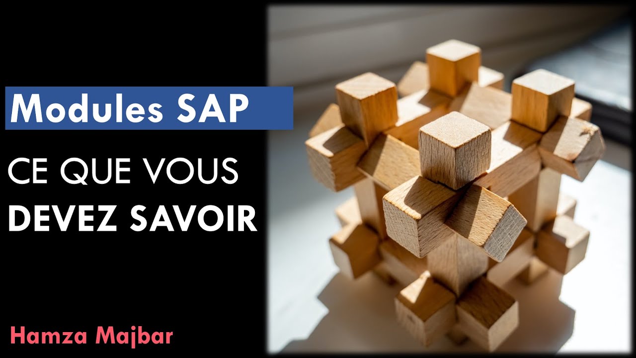 Ce que vous DEVEZ savoir sur les modules SAP