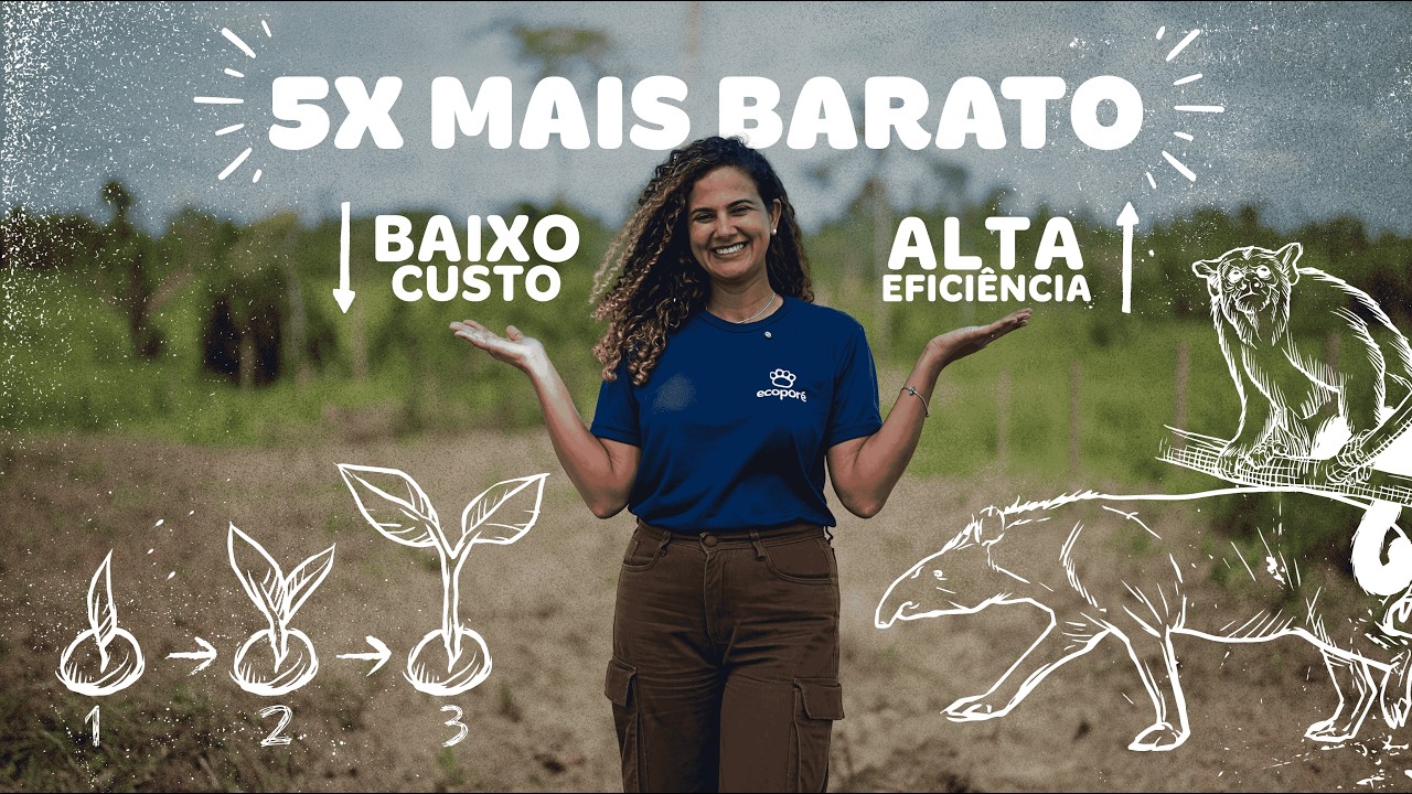 Recuperação de reserva de modo simples e no orçamento: Muvuca regenera áreas com gasto até 5X menor