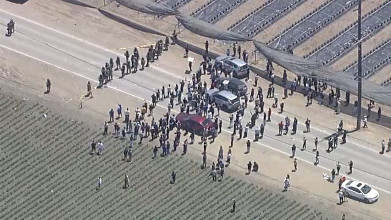 Federal agents conduct immigration raid at SoCal farm, clash with protestors