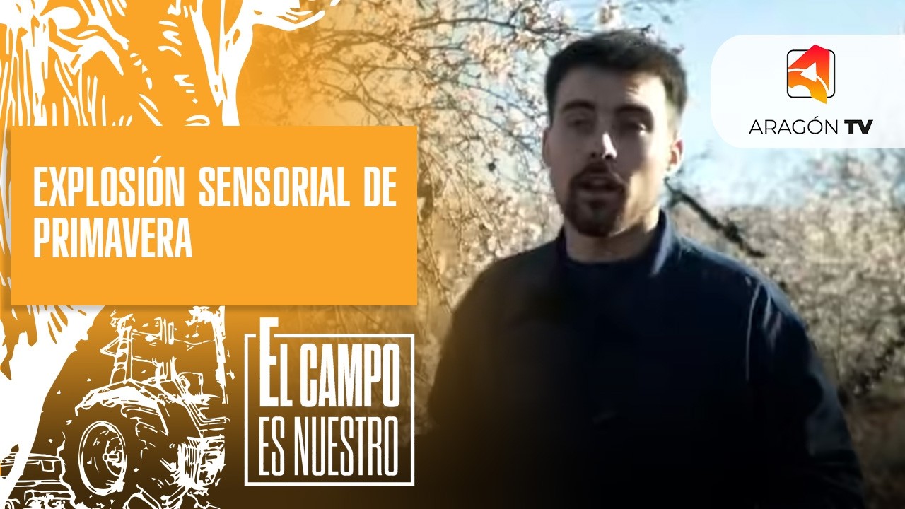 Explosión sensorial de primavera