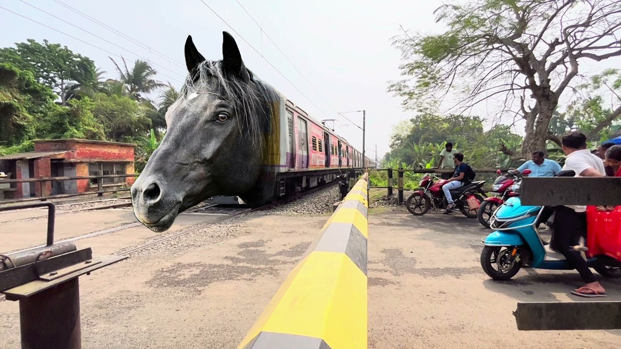 Indian high speed horse train intercity express, and the local train level public reaction ￼