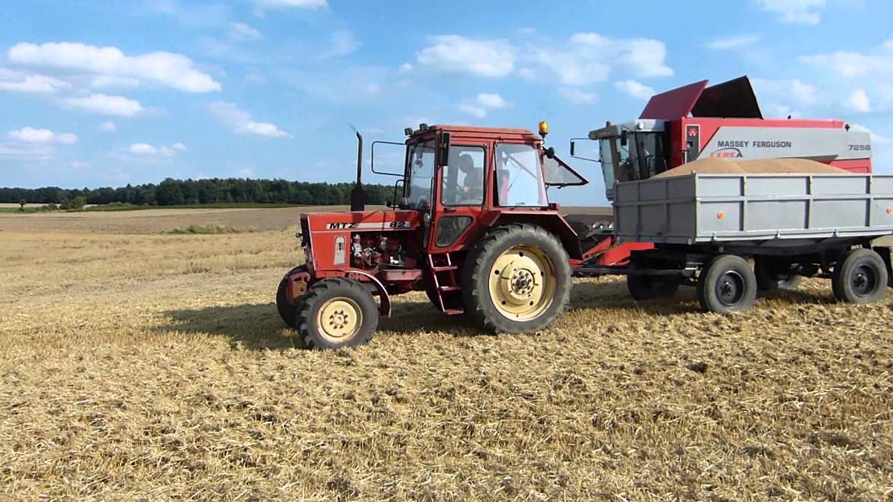 Żniwa 2013 / Massey Ferguson 7256 cerea / Pronar 1025 / Mtz 82 / autosan d46