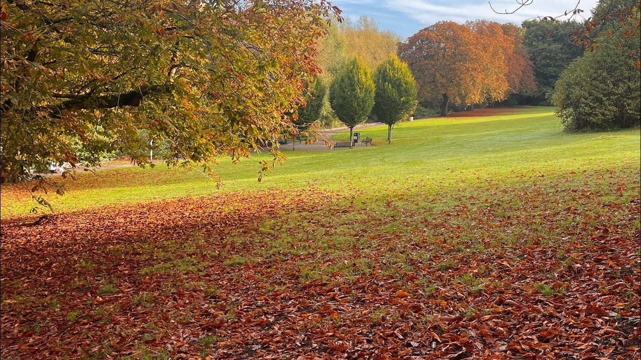 Oxhey park,watford,UK