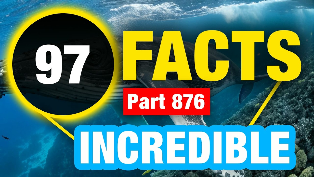 97 Mind Blowing Facts | Facts That Will Shock You