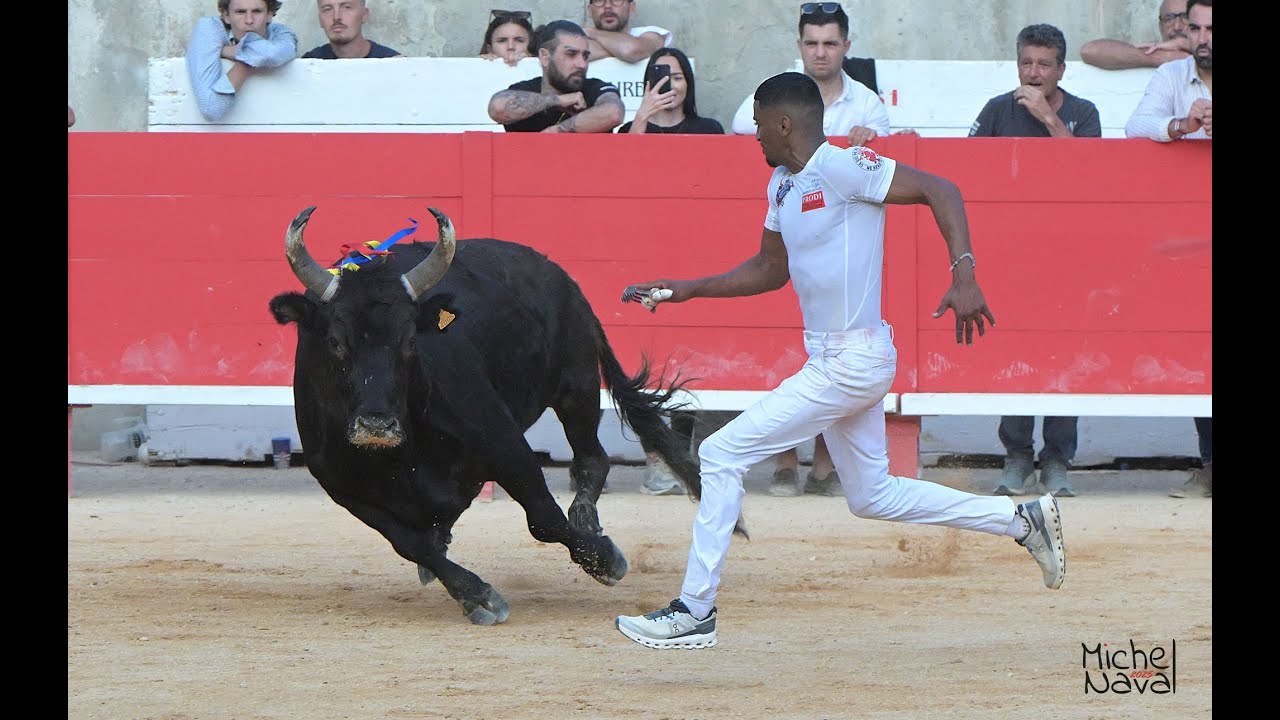 NIMES (05/06/2025) - Le résumé de la course