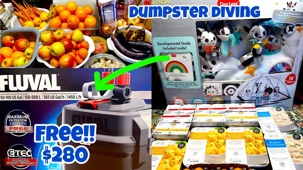 DUMPSTER DIVING USA FREE MONEY SA BASURA!!