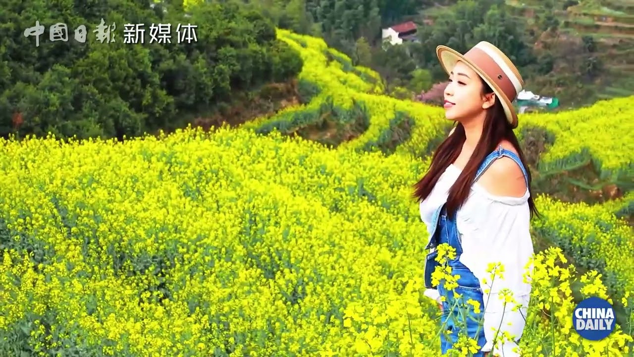 Rapeseed flowers bloom in East China's countryside