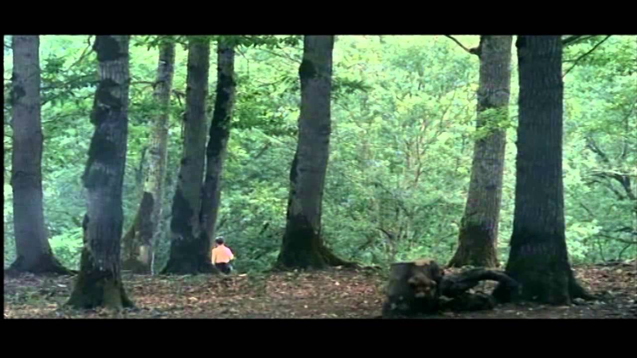 Color Of Paradise (Unofficial Trailer)