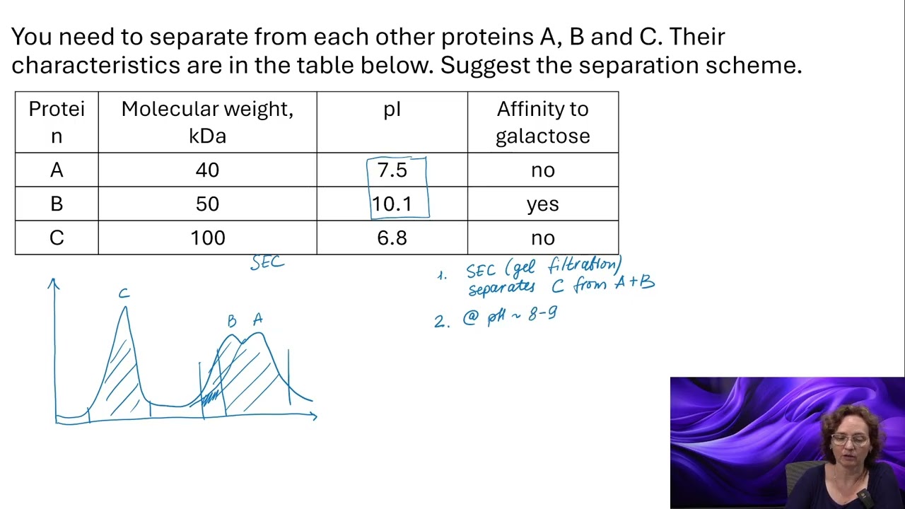 protein separation based on their characteristics - practice problem