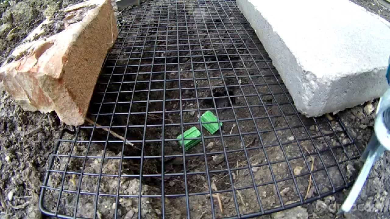 Rodents love Tomcat Chunks